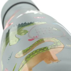 Botella de agua dinos planet 260ml