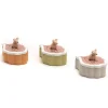 Caja ratón dientes hoja + colores