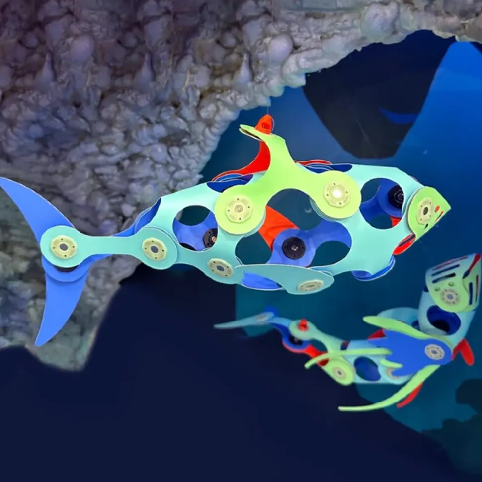 Clixo criaturas del oceano