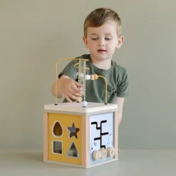 Cubo actividades Little Goose