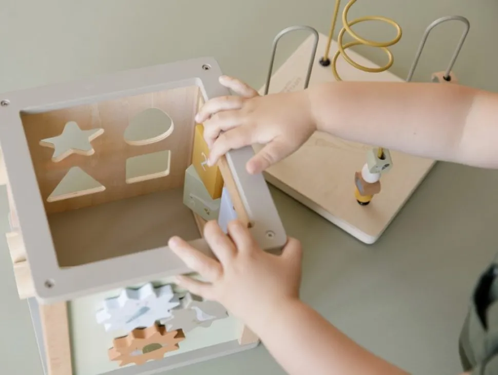 Cubo actividades Little Goose