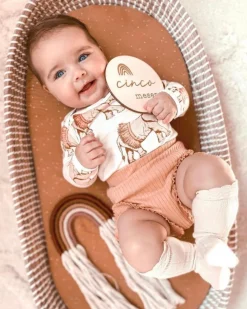 Cumple mes bebé de madera