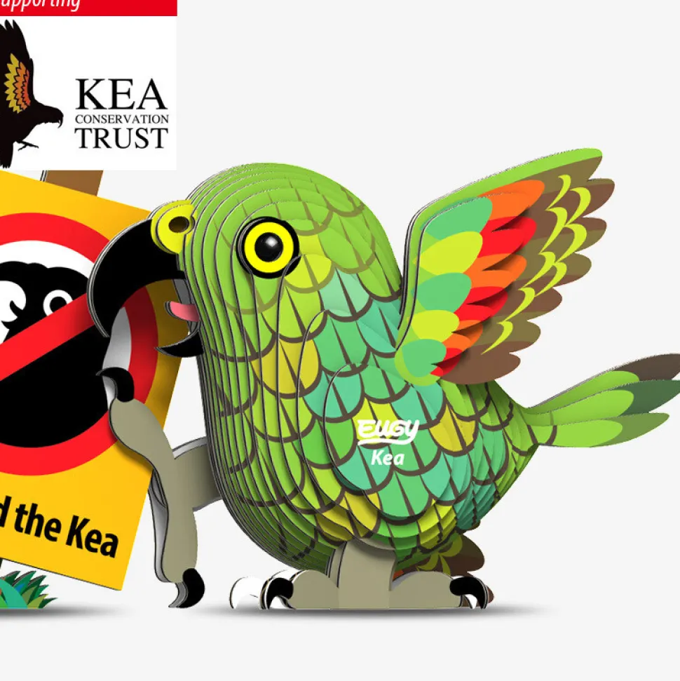 Eugy loro kea puzzle