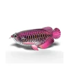 Eugy Pez Arowana puzzle
