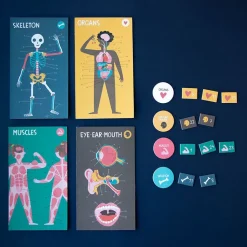 Juego de anatomía inside me learn and fun