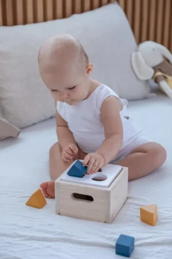 Juego Encaja las Formas