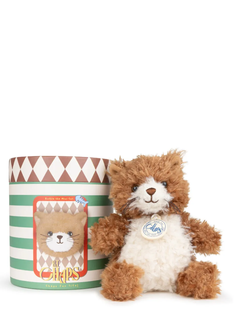 Mini gatita en caja de regalo eco