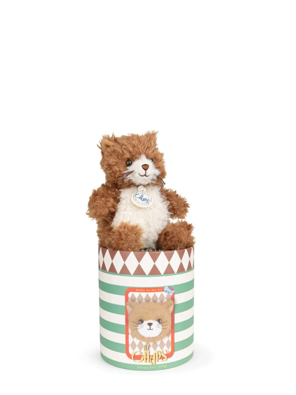 Mini gatita en caja de regalo eco