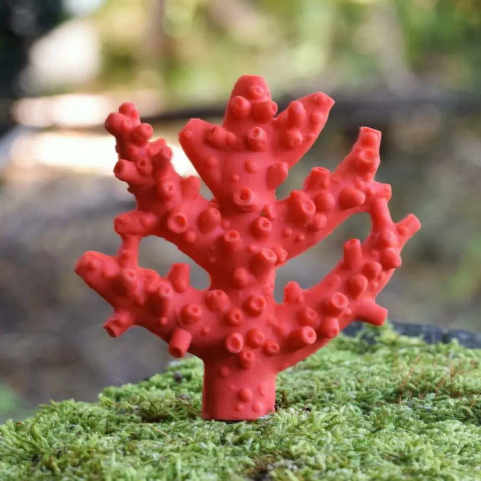 Mordedor coral caucho natural