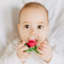 Mordedor mini ramonita the radish Oli & Carol
