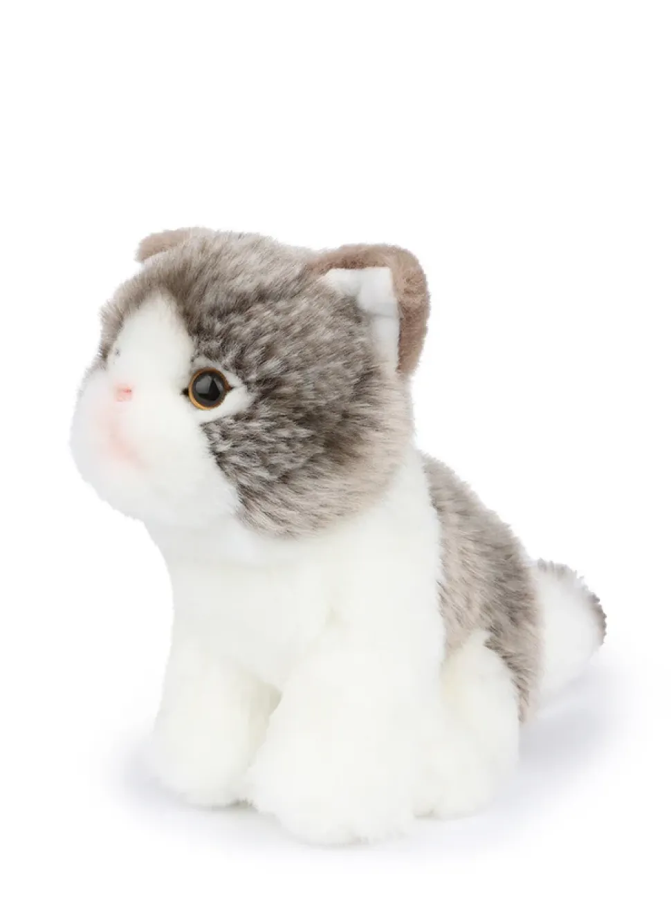Peluche gato Fold Escocés Amelie en caja de regalo blanco/gris