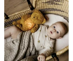 Peluche Oso con luz y música caramel