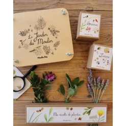 Prensa de flores