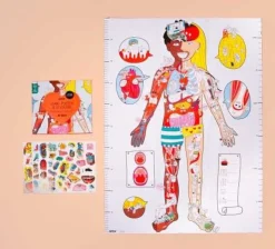Póster + pegatinas “Cuerpo Humano”