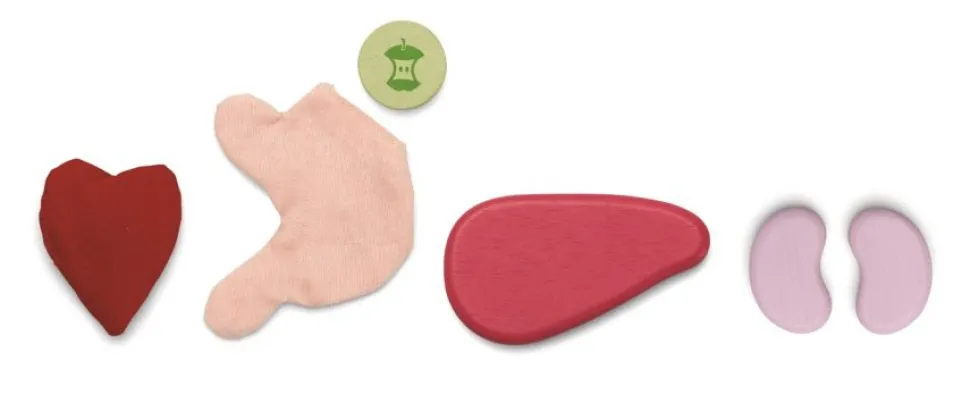 SET DE CIRUGÍA PLANTOYS