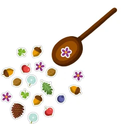 Sopa de bellotas